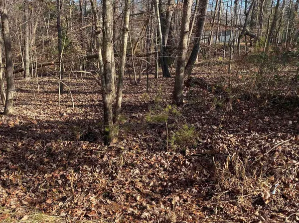 29 Smokewood Dr, Palmyra, VA 22963