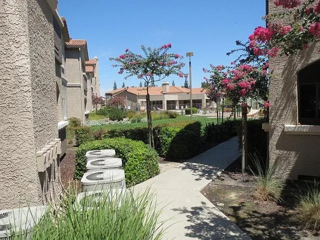 Woodcreek Oaks Blvd — Photo 3