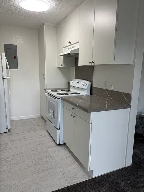 2 bed, 716 sqft, $2,800 — Photo 2
