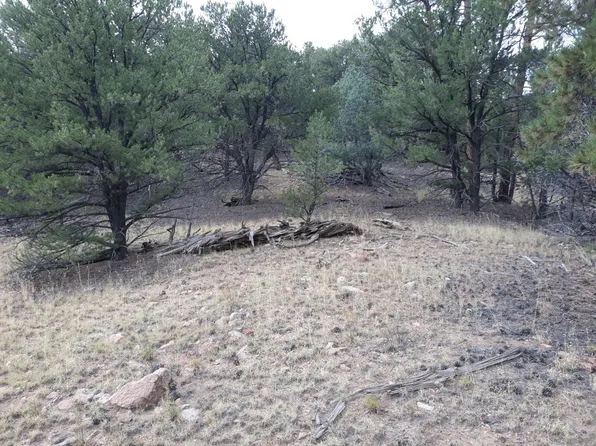 Tbd L Path, Cotopaxi, CO 81223