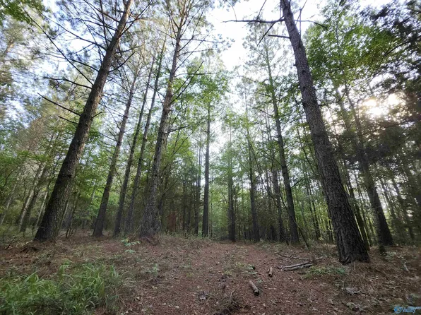 6926 County Road 29, Piedmont, AL 36272