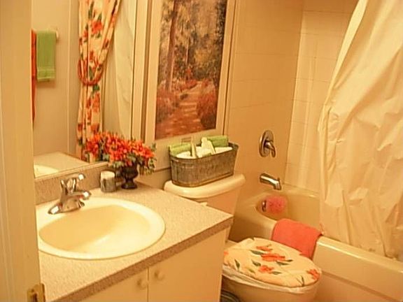 Guest Bath