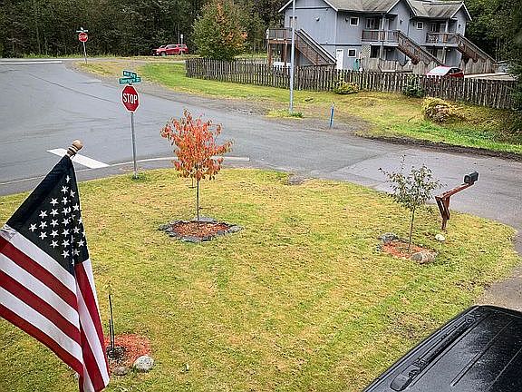 View from Front Window