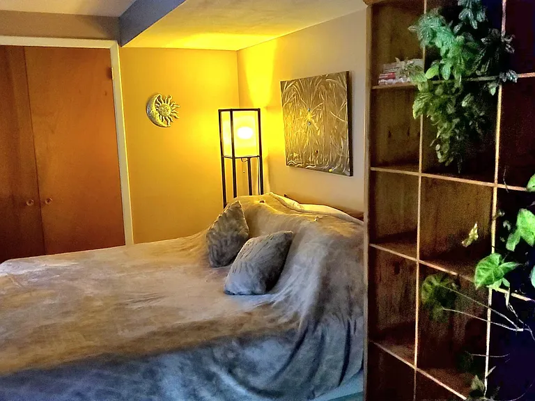 152 Red Rocks Vista Dr #BASEMENT — Photo 9