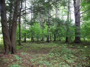 0 E 44 1/2 Rd, Cadillac, MI 49601