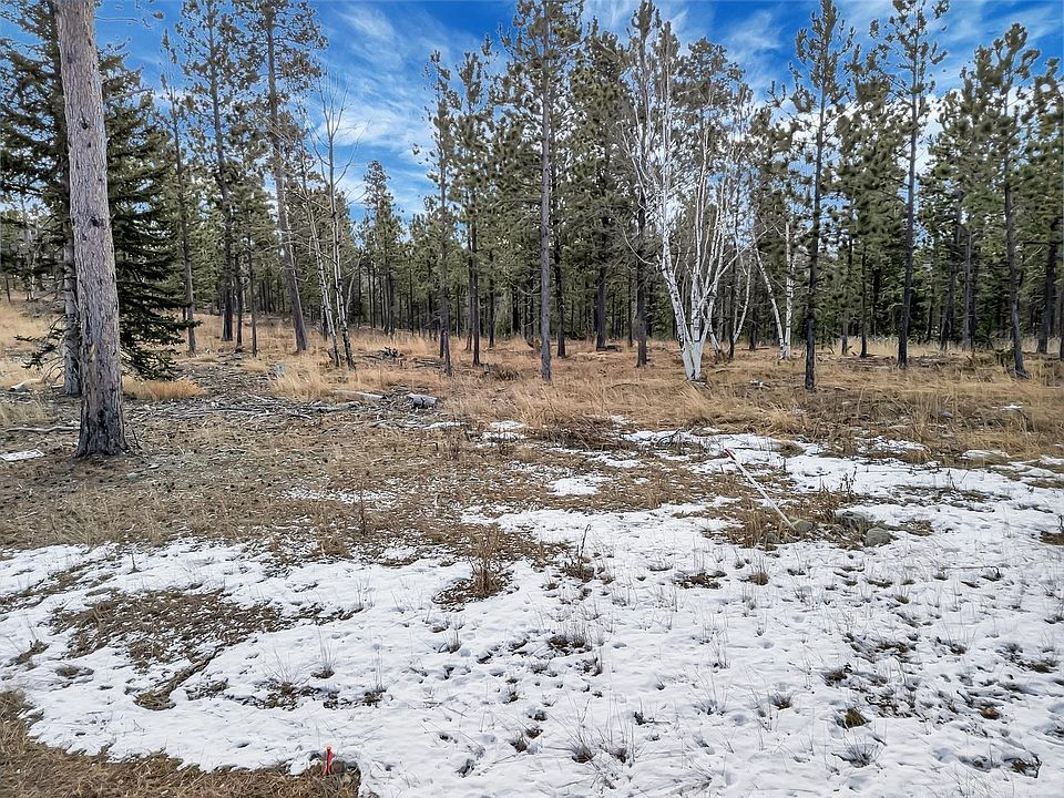 1st image of Lofty Pines Ct
