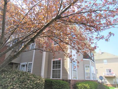 2205 Timber Ridge Ct, Parlin, NJ, 08859