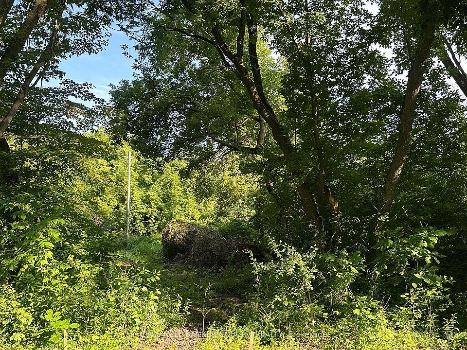 2nd image of 0 Pittston Rd