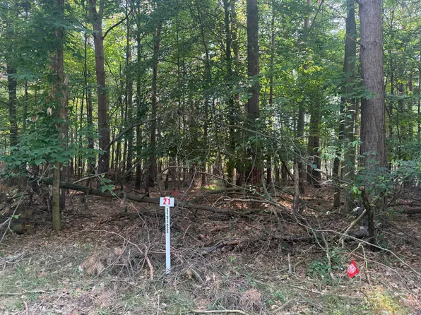 7745 Lakeview Dr, Stanwood, MI 49346