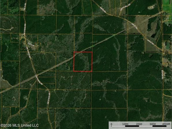 0 Joe Dyess Rd, Carson, MS 39427