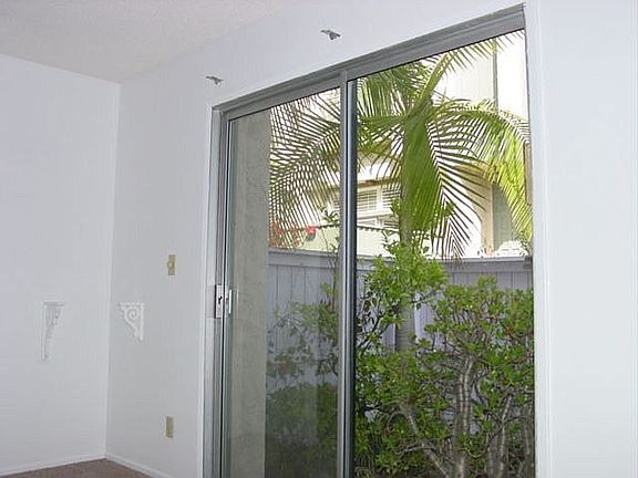 patio with palm tree