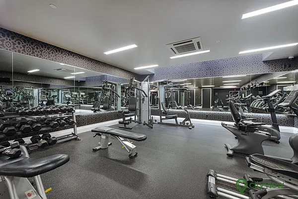 Rented by City View Living | media 18