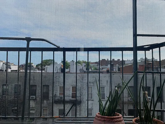 Rented by H L Dynasty Real Estate Corp | media 41