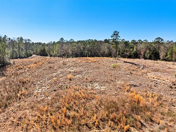 5th image of Boggy Hollow Rd