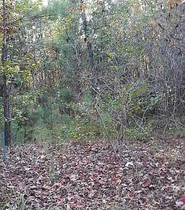 4th image of 22 Breeden Ln
