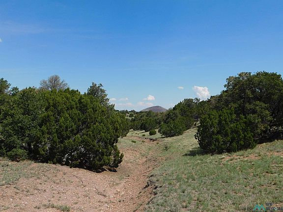 5th image of 87 Dove Valley Rd