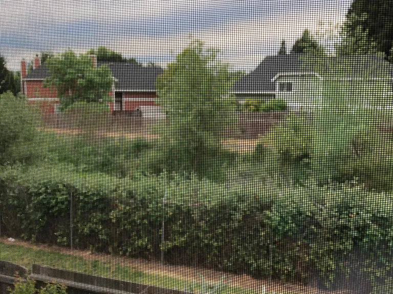 View from the back bedroom