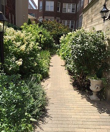 Stroll the beautiful stone path thru the manicured and custom lighted winding walkway to the iron ga