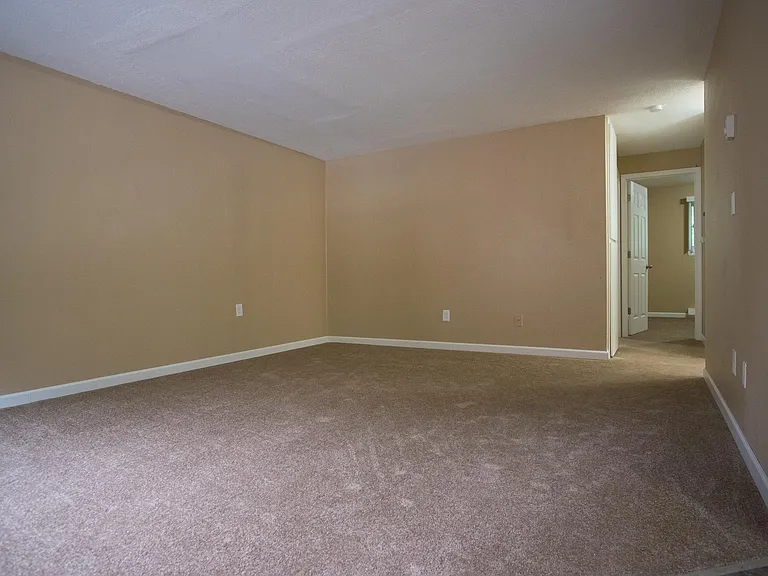 Forest View Apartments — Photo 21