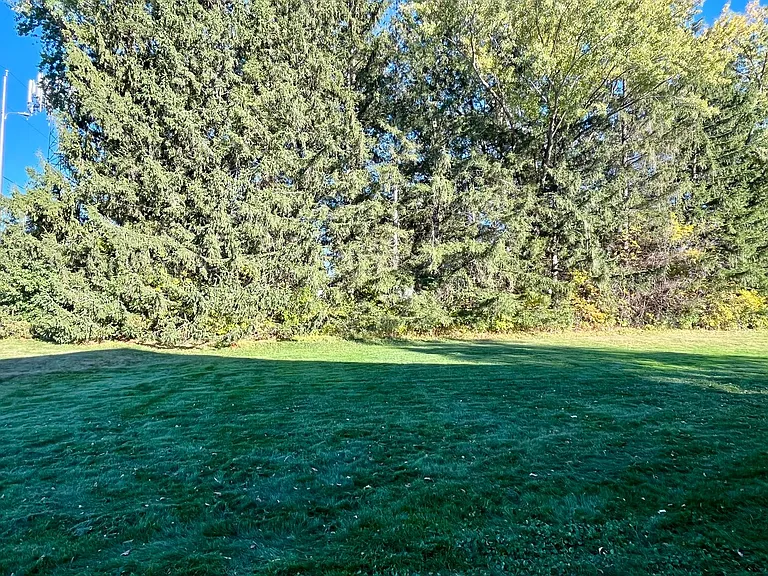 619 Laurel Ct — Photo 20