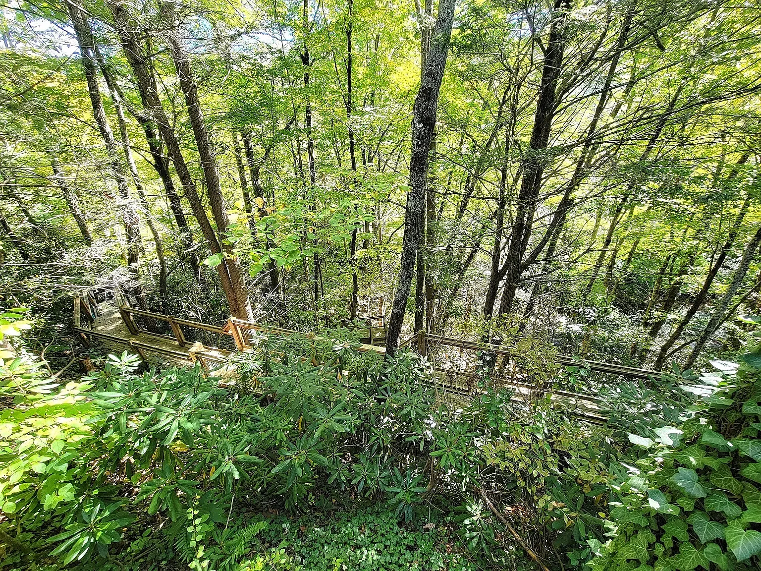 Creekside Villas — Photo 4