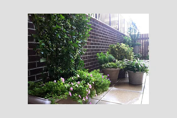 Rented by Stribling | media 7