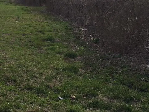 Tbd Us 17 Highway, Maysville, NC 28555