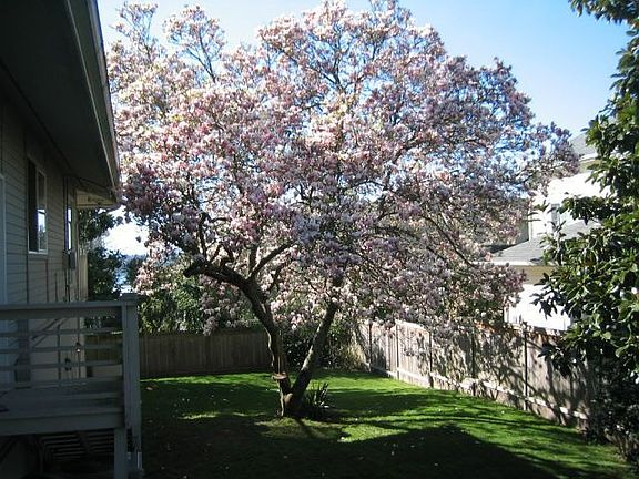 3rd image of 2411 67th Ave SE
