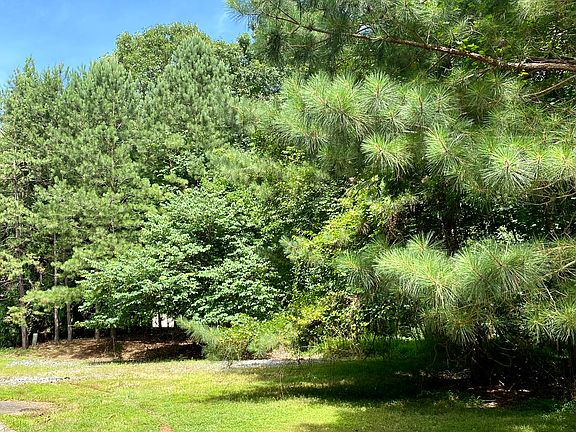 2nd image of 709 Thompson Falls Dr Lot 568