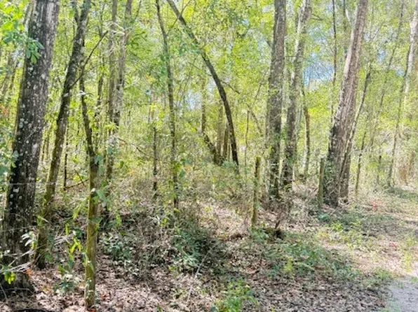 636 SW Anderson St, Lake City, FL 32024