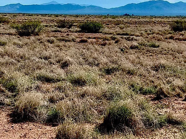 N Ee Ranch Rd #2, Mc Neal, AZ 85617