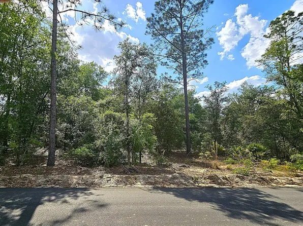 6 Turkey Oak Rd, Blackshear, GA 31516