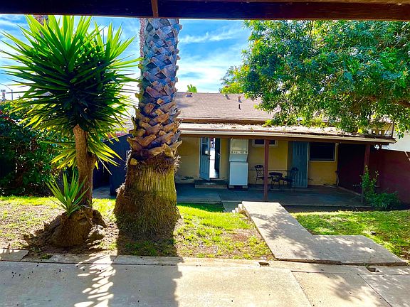 back yard