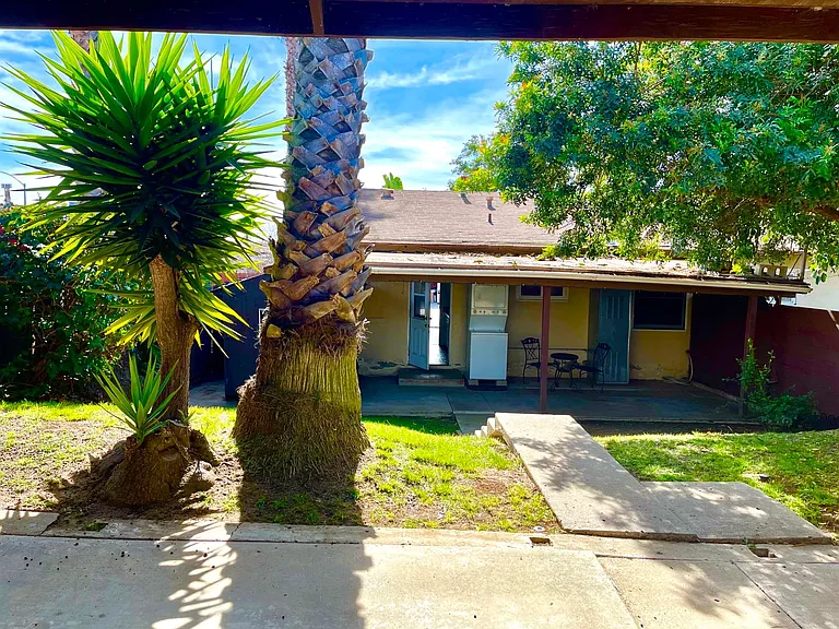 back yard