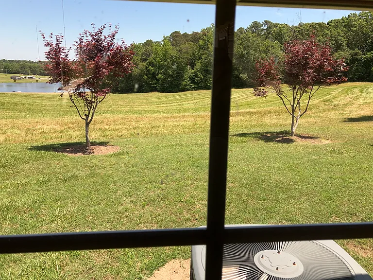 1026 Lake Shadow Dr — Photo 11