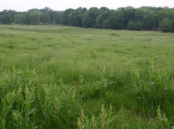 Rolling Terrain