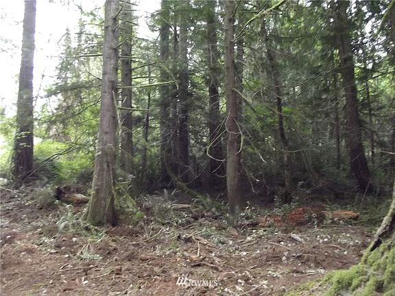 2nd image of 0 William Heights Lane SW