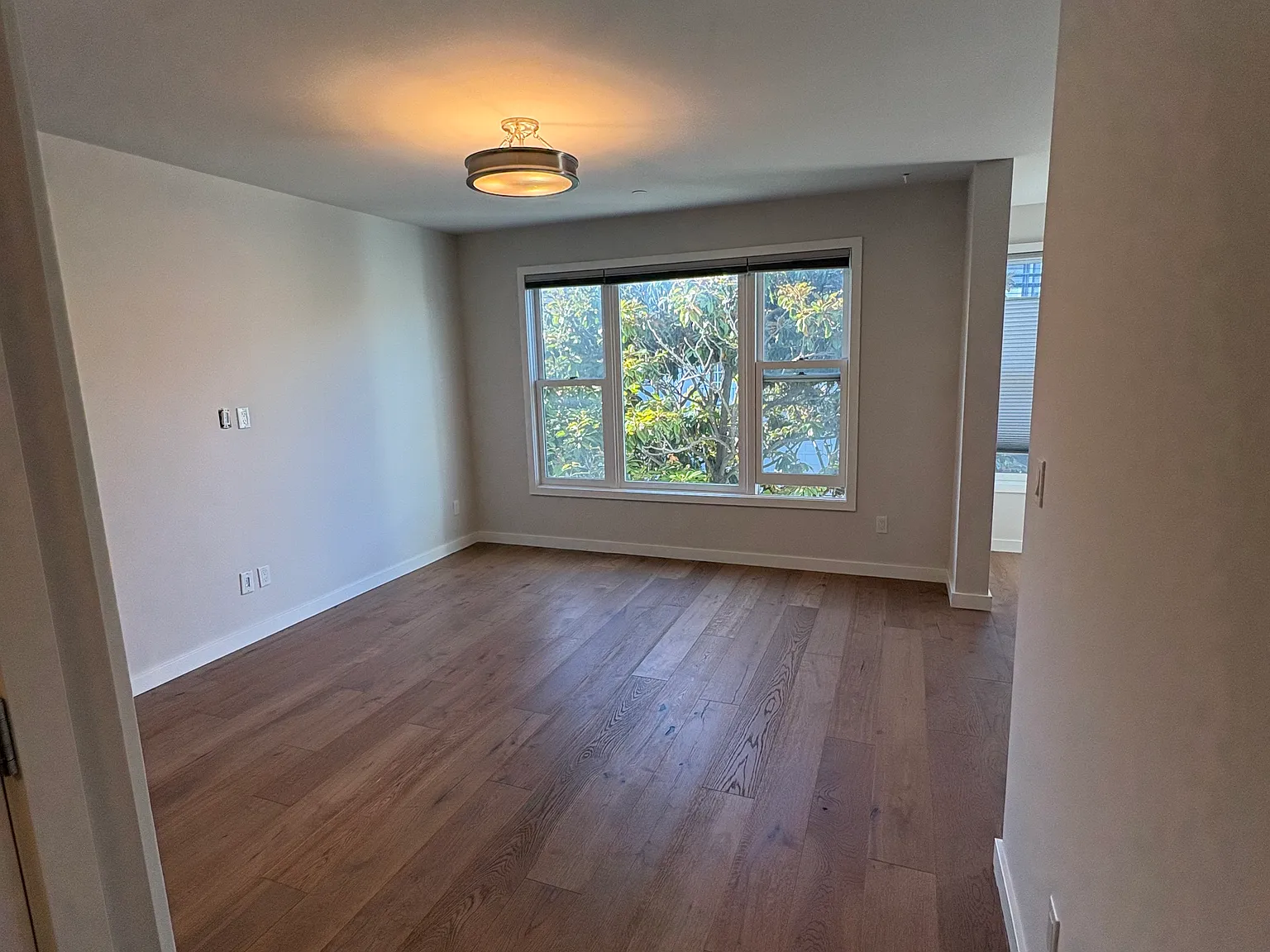 1 bed, $5,000 — Photo 3