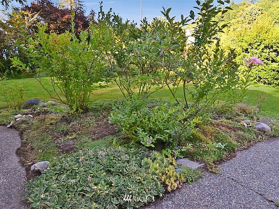 Lots a great blueberries this year, home includes lots of little beautiful garden spaces