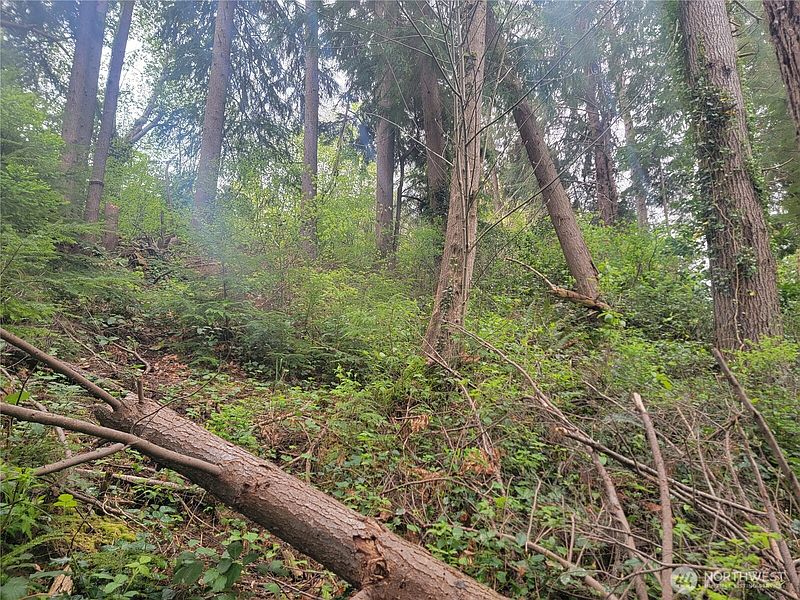 2nd image of 1600 Laura Street