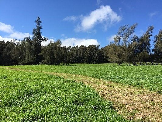 4th image of Lot 10