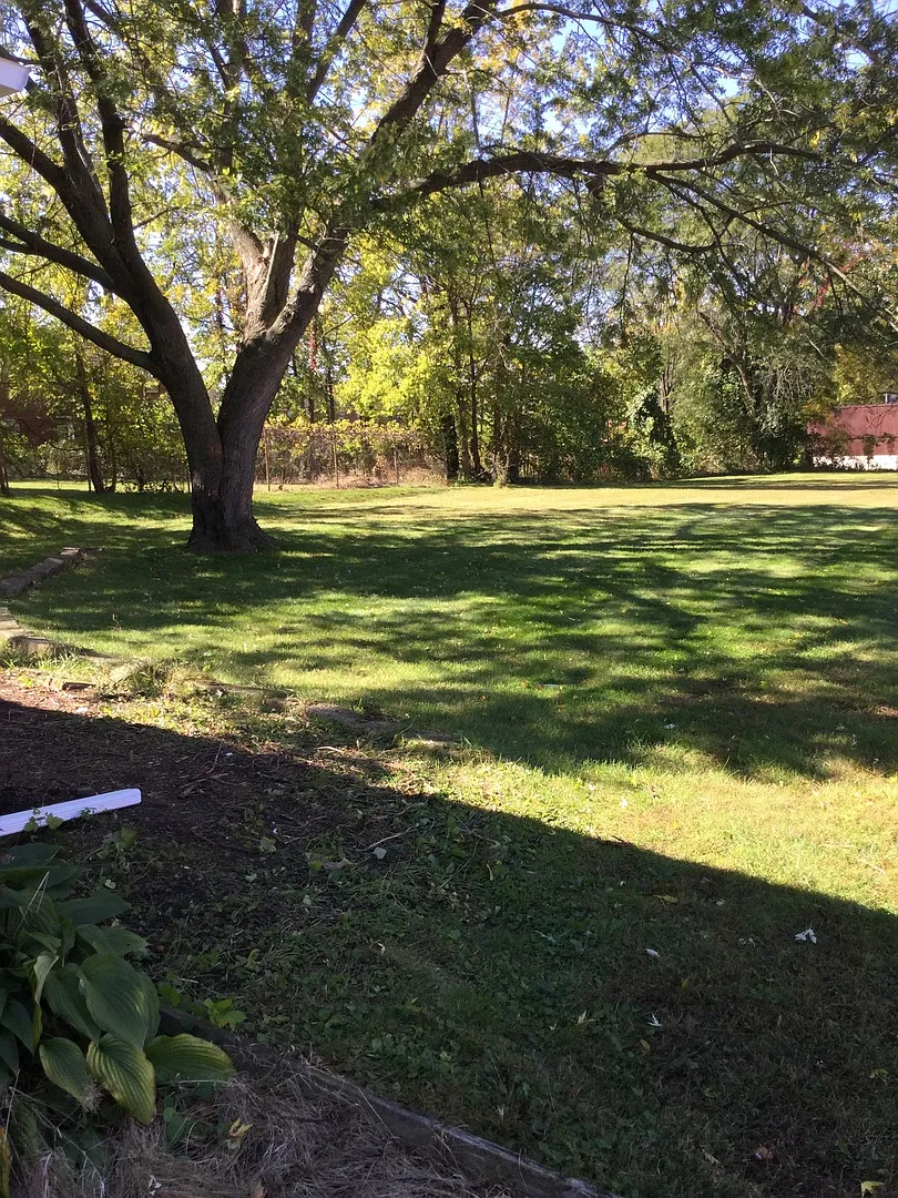 Secluded 3 Bedroom/1 Bath Ranch Home available in June! — Photo 2