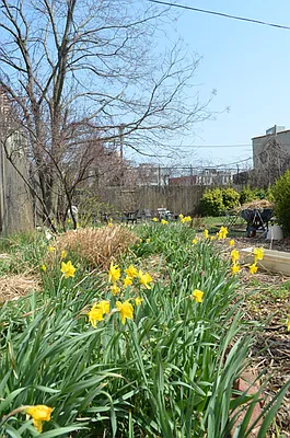 Sold by Owner | media 29