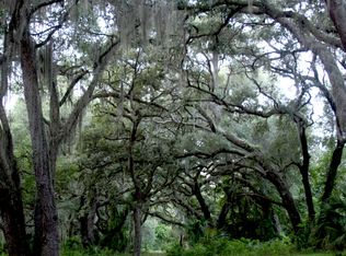 9000 SE 170th Ave Rd, Ocklawaha, FL 32179