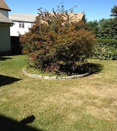 Beautifully Maintained Lawn