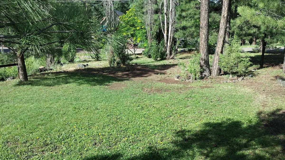 914 W Navajo Lane — Photo 3