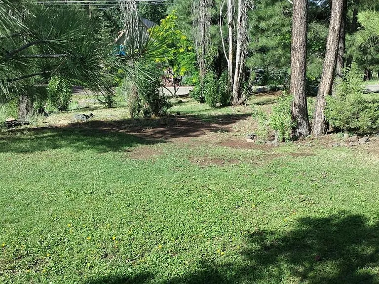 914 W Navajo Ln — Photo 3