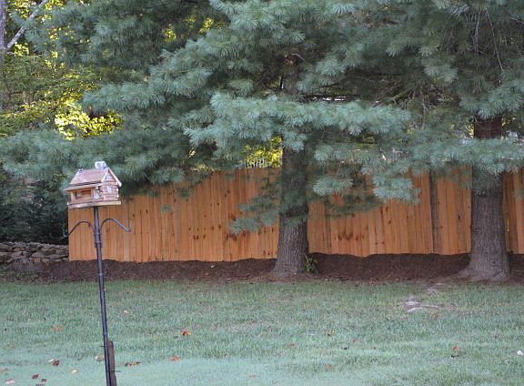 4th image of 1660 Boone Dr