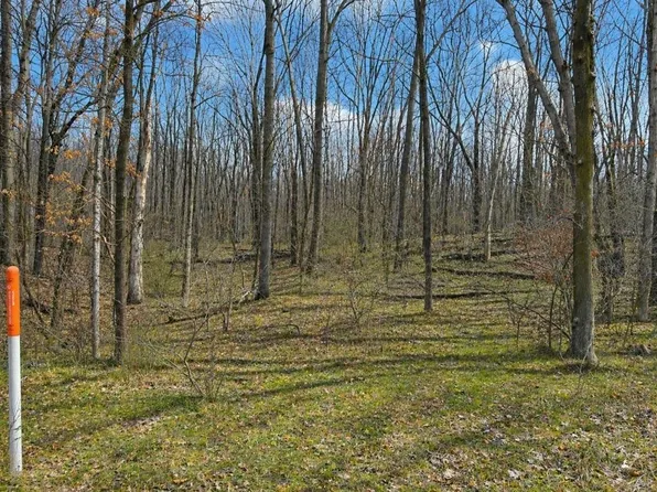 LOT 4 White Birch Ln, Farwell, MI 48622