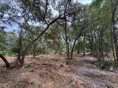 Spring Garden Ranch Rd Lot 8, De Leon Springs, FL, 32130